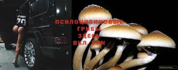 экстази Зерноград
