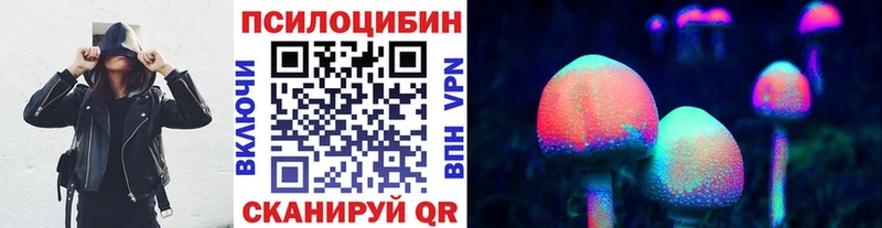 Псилоцибиновые грибы Psilocybine cubensis  Купить  Новохопёрск 